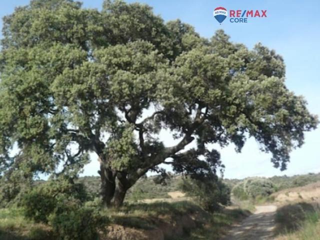 Terreno en venta en La Roca De La Sierra, Extremadura