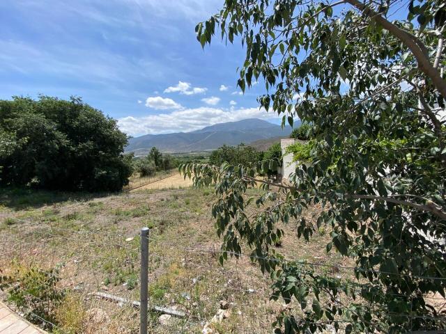 Terreno en venta en Láujar De Andarax, Andalucía