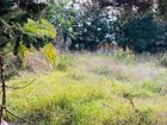 Terreno en venta en Guadalmina, Costa del Sol Occidental