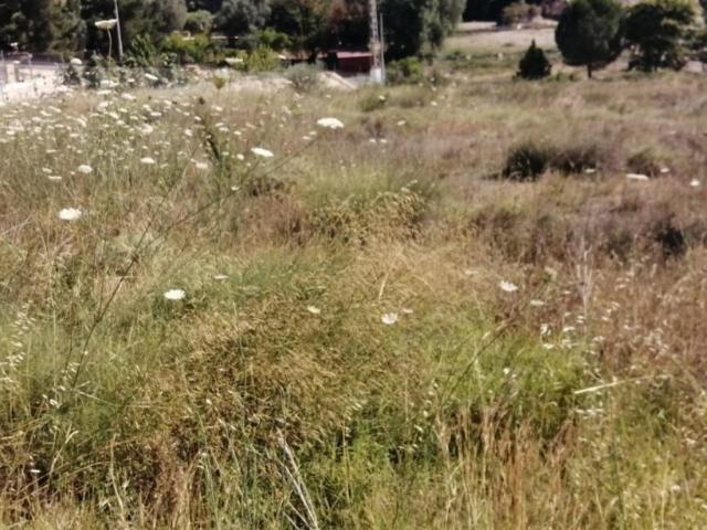 Terreno en venta en Molina de Segura