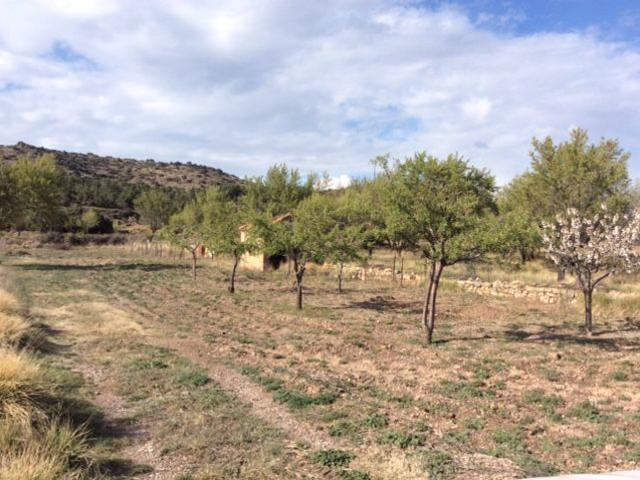 Terreno en venta en Gúdar-Javalambre, Aragón