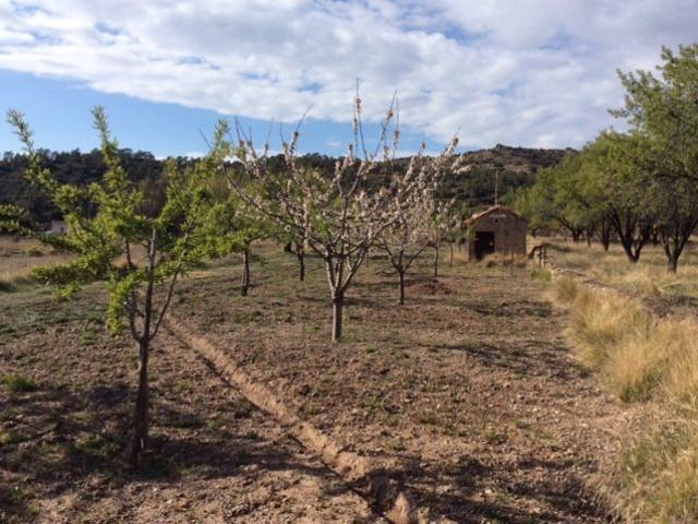 Terreno en venta en Gúdar-Javalambre, Aragón