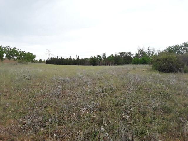 Terreno en venta en Moraleja De Enmedio, Madrid