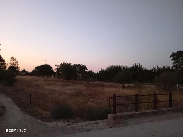 Terreno en venta en Sangonera la Seca, Área Metropolitana de Murcia