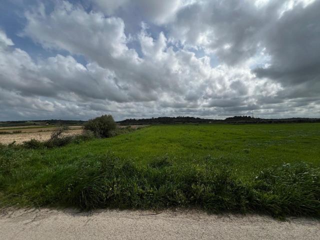 Terreno en venta en Pla de Mallorca, Baleares