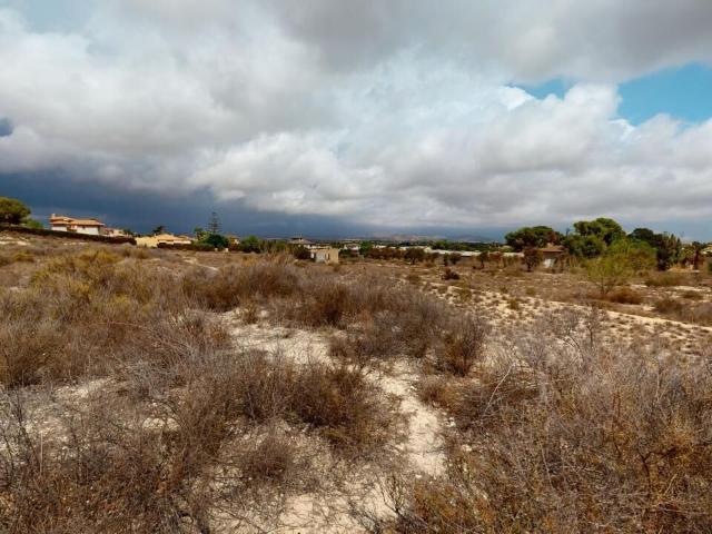 Terreno en venta en l'Alacantí, Valencia
