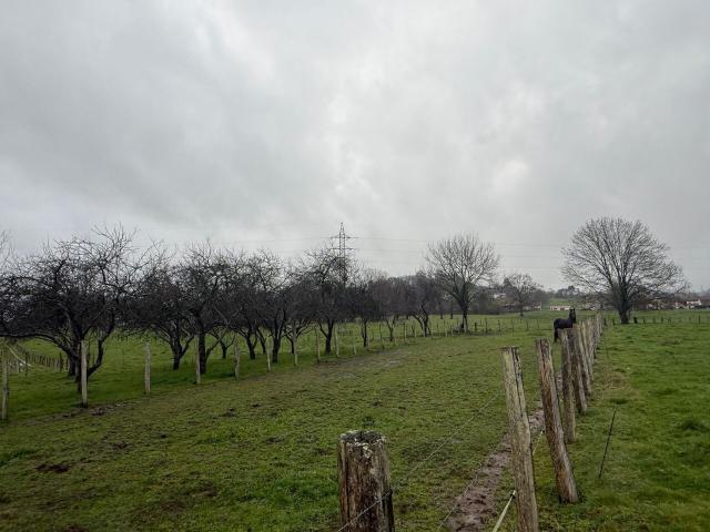 Terreno en venta en Nava