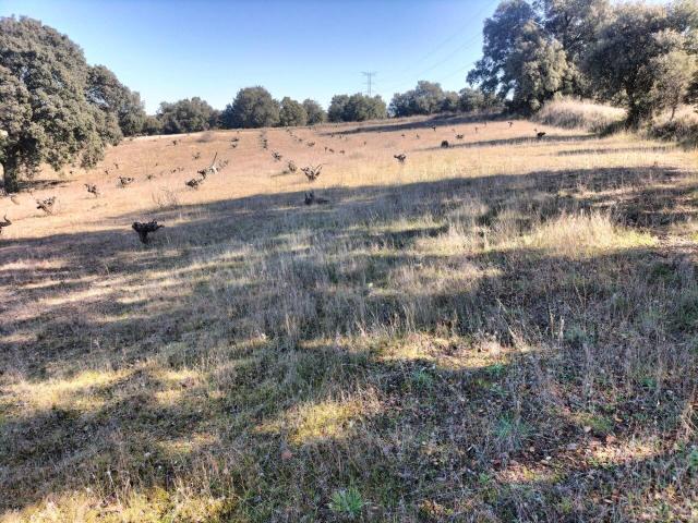 Terreno en venta en Casco Antiguo, Navalcarnero