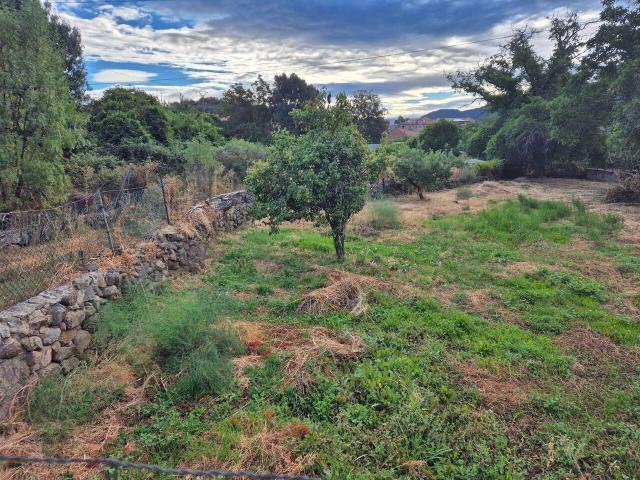 Terreno en venta en Navaluenga, Castilla y León