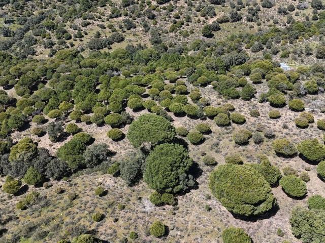 Terreno en venta en Navas Del Rey, Madrid