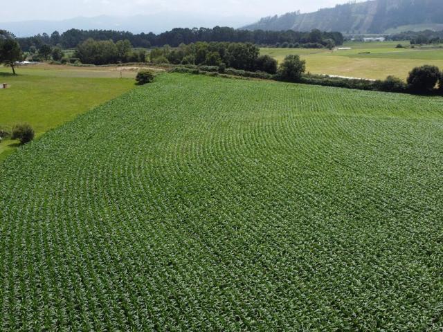 Terreno en venta en Navia, Asturias