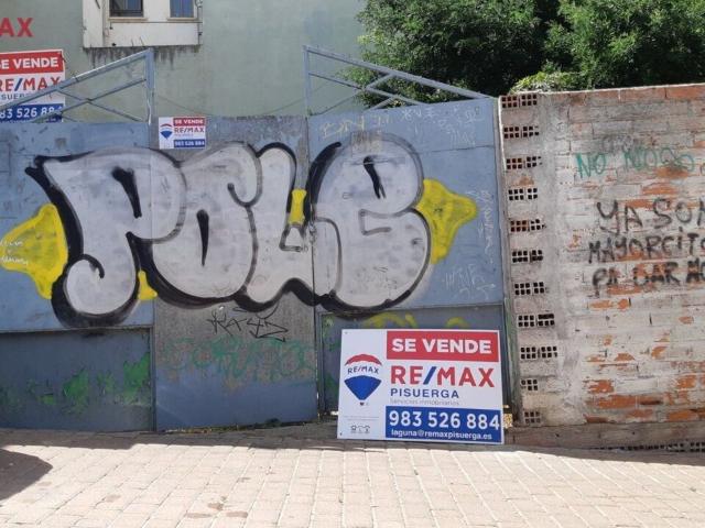 Terreno en venta en Peñafiel, Valladolid