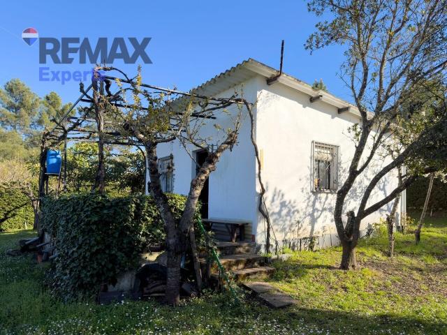 Terreno en venta en Bárcena del Bierzo, El Bierzo
