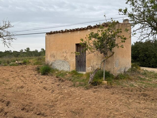 Terreno en venta en Pla de Mallorca, Baleares