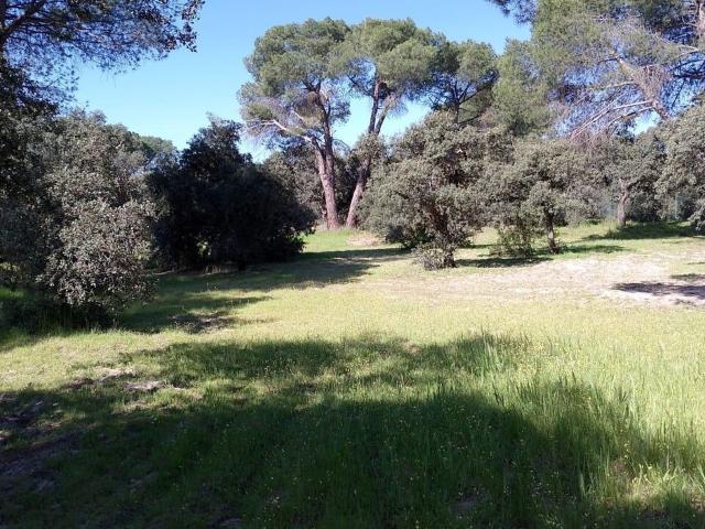 Terreno en venta en Urbanización Monte Claro, Pozuelo De Alarcón