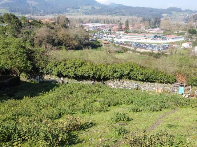 Terreno en venta en Praúa, Pravia