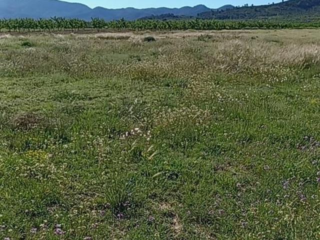 Terreno en venta en Ricote, Región de Murcia