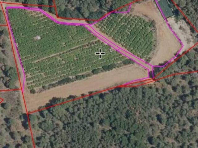 Terreno en venta en Sant Ramon, el Camp de Morvedre