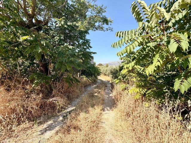 Terreno en venta en Comarca de Loja, Andalucía