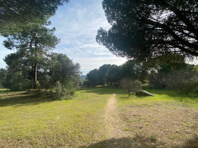 Terreno en venta en San Martín De Valdeiglesias, Madrid