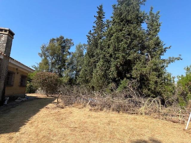 Terreno en venta en Sanlúcar La Mayor, Andalucía