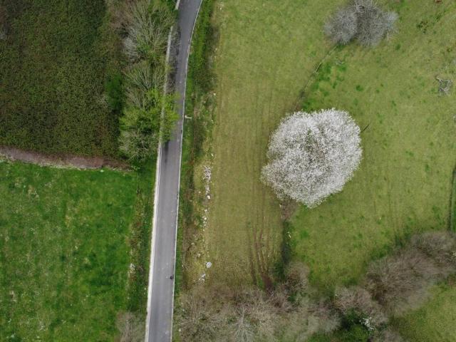 Terreno en venta en Morcín, Asturias