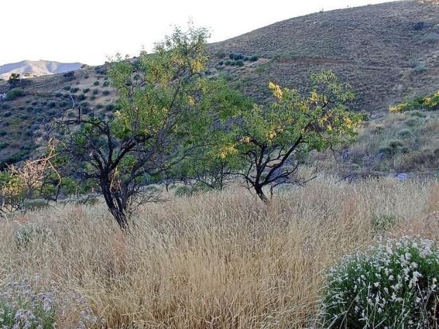 Terreno en venta en La Axarquía, Andalucía