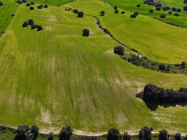 Terreno en venta en Sevilla La Nueva, Madrid