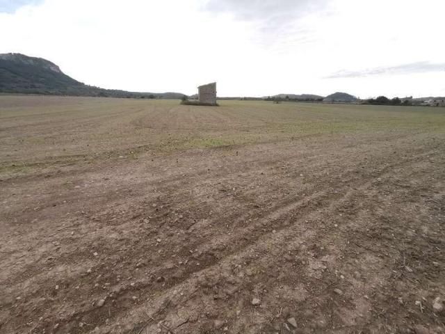 Terreno en venta en Pla de Mallorca, Baleares