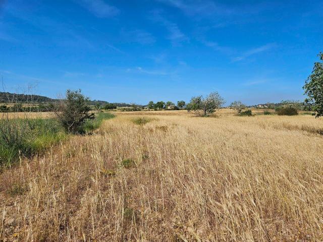 Terreno en venta en Pla de Mallorca, Baleares