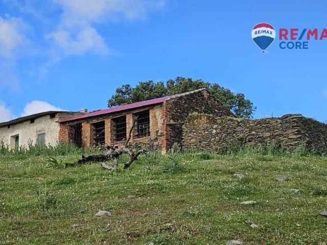 Terreno en venta en Siruela, Badajoz