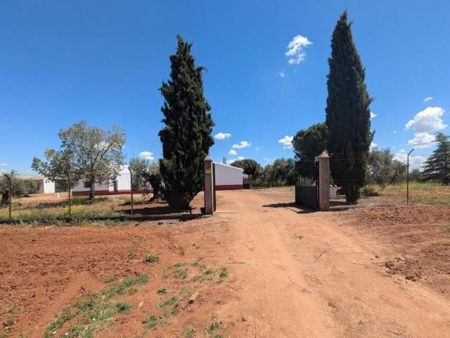 Terreno en venta en Solana De Los Barros, Badajoz