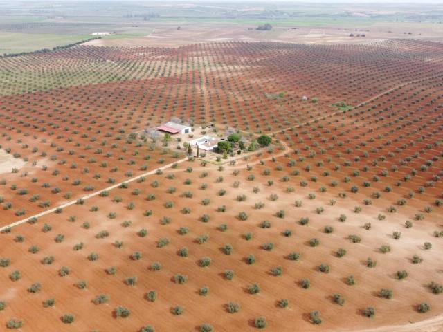 Terreno en venta en Tierra de Barros, Extremadura