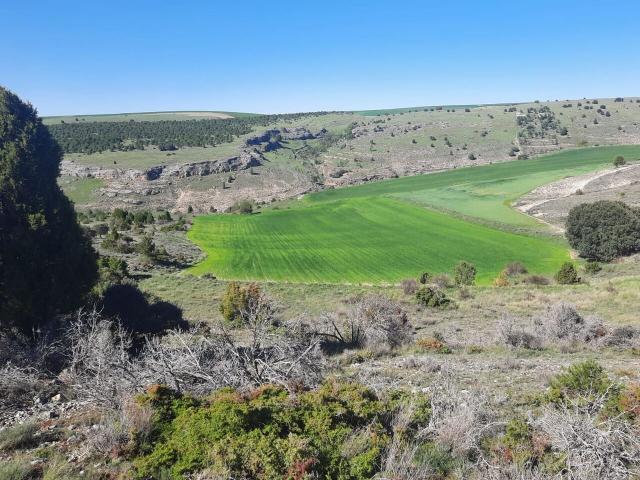 Terreno en venta en Sexmo de San Lorenzo, Torreiglesias