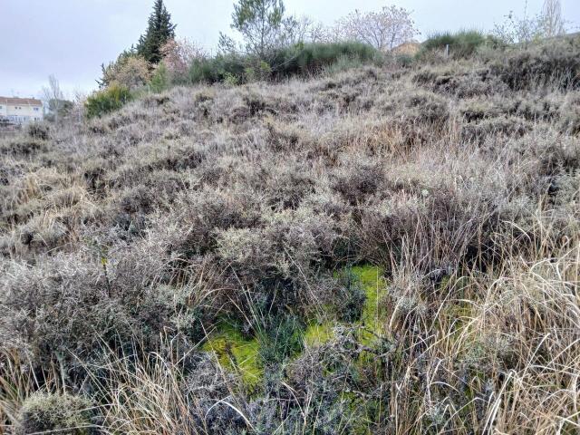 Terreno en venta en Trijueque, Castilla-La Mancha