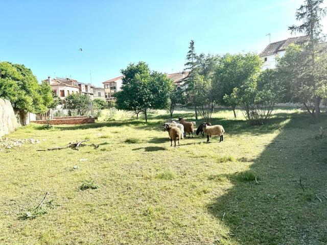 Terreno en venta en Sexmo de Posaderas, Turégano