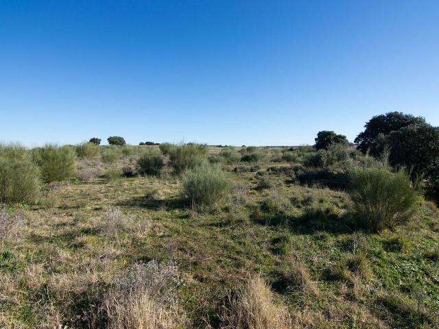 Terreno en venta en El Vivar, Villamanta
