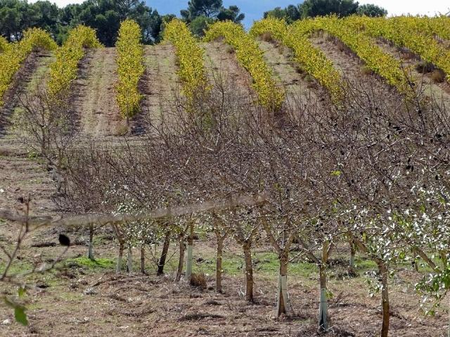 Terreno en venta en la Costera, Valencia