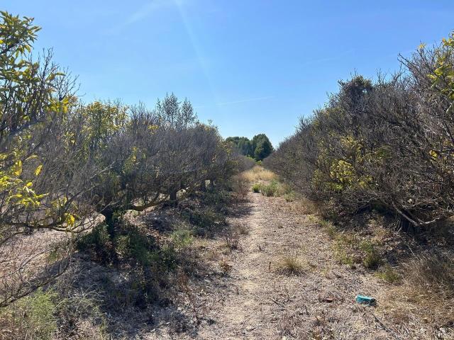 Terreno en venta en Urbanització L'Ermita, la Marina Alta