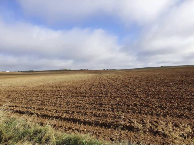 Terreno en venta en Lobón, Extremadura