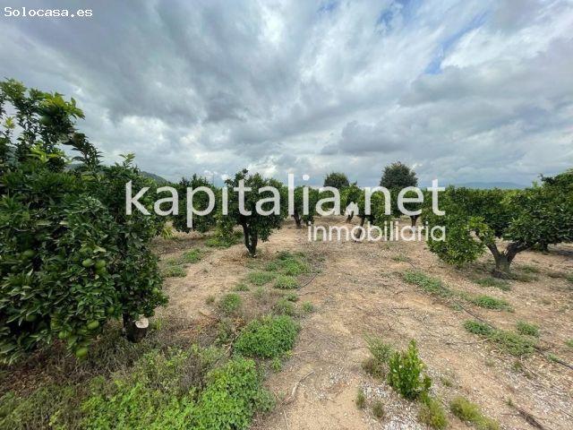 Local Comercial en venta en la Costera, Valencia