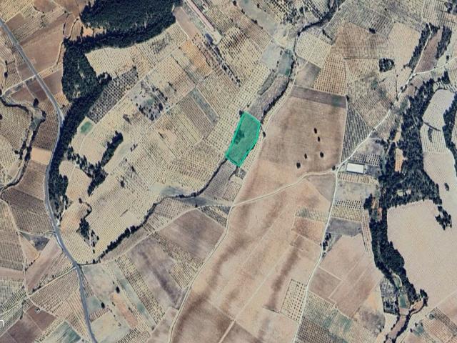 Terreno en venta en Comarca de València, Valencia
