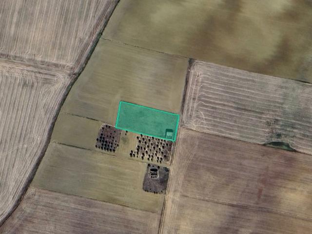 Terreno en venta en Zamora, Castilla y León