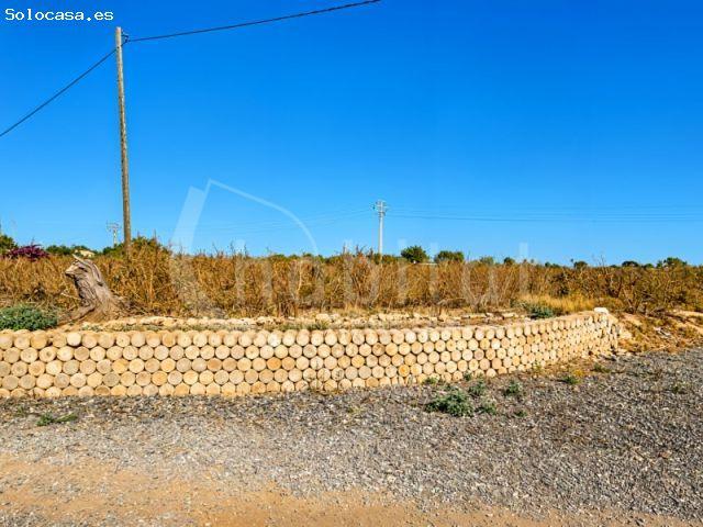 Local Comercial en venta en el Baix Segura / La Vega Baja, Valencia