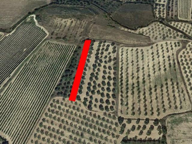 Terreno en venta en Zaragoza, Aragón
