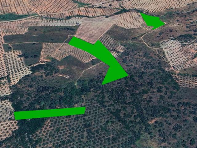 Terreno en venta en Jaén