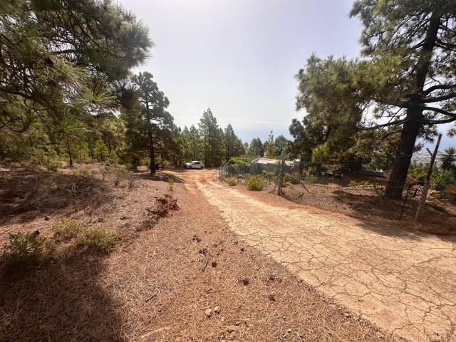 Terreno en venta en Punta Larga, Candelaria