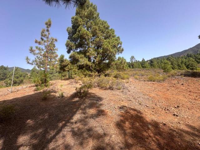 Terreno en venta en Candelaria, Canarias
