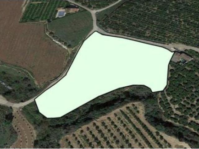 Local Comercial en venta en la Ribera Alta, Valencia