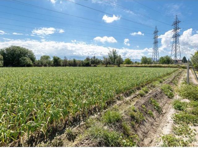 Local Comercial en venta en Cúllar Vega, Granada